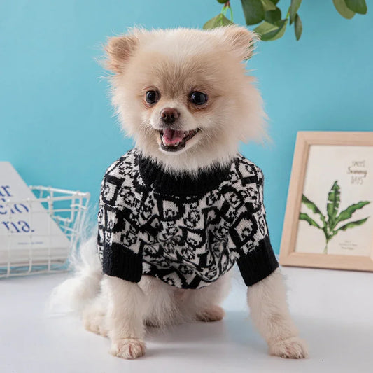 Ropa de diseño para perros